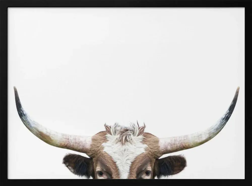 Big Sale Framed Peeking Longhorn Cow Art by Kathrin Pienaar - 24x36 Home Office Decor - 36x24 \\/ Black Frame