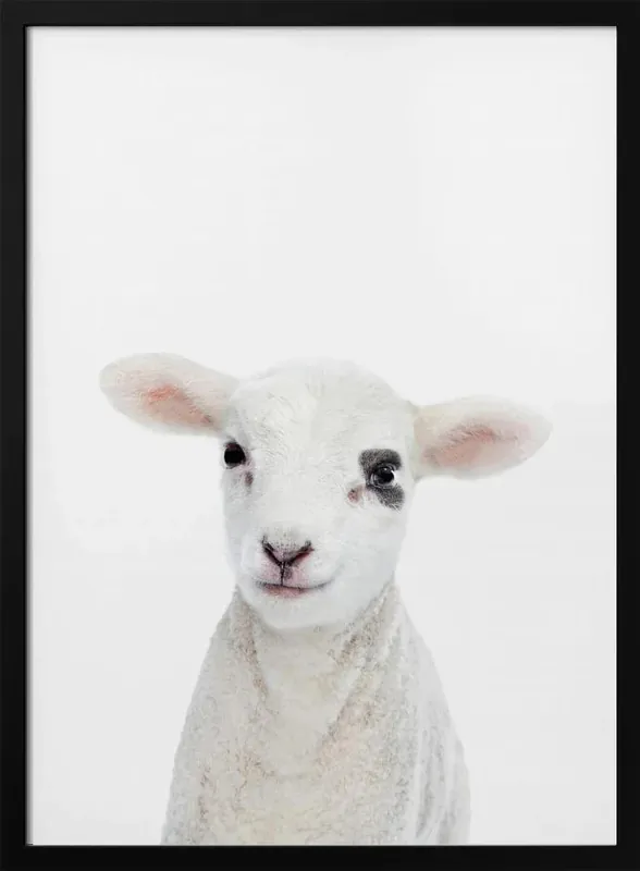 Framed Art Print - Baby Lamb by Kathrin Pienaar Elegant Home Office Decor 24x36 - 24x36 \\/ Black Frame Holiday Sale