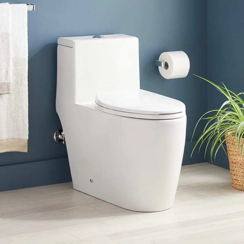 Weekend Sale Signature Hardware Sitka 1.28 GPF One Piece Elongated Skirted Chair Height Toilet - Seat Included