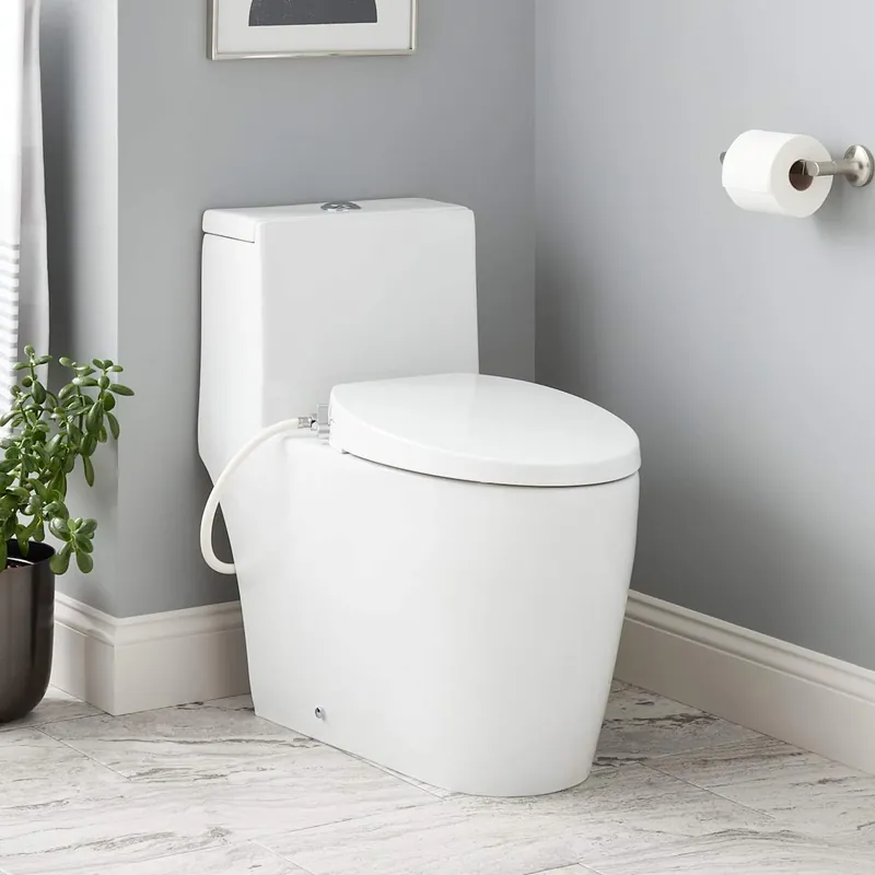Signature Hardware Sitka 1.28 GPF One Piece Elongated Toilet - Bidet Seat Included, ADA Compliant Bargain