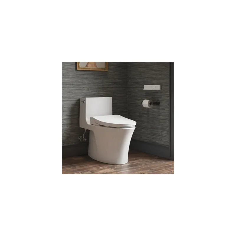 Kohler Veil One-Piece Elongated Dual-Flush Toilet with Hidden Cord Design - Includes Irvine E915 Bidet Toilet Seat with Remote Control Shop Now