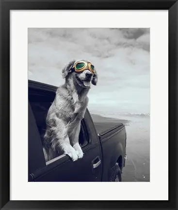 Factory Price Pop of Color Cool Dog by Color Me Happy - 30x24 \\/ Framed Art