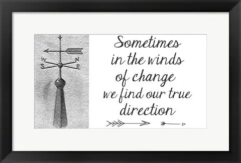 Sometimes In The Winds Of Change by Veruca Salt - 12x20 \\/ Framed Art High Quality